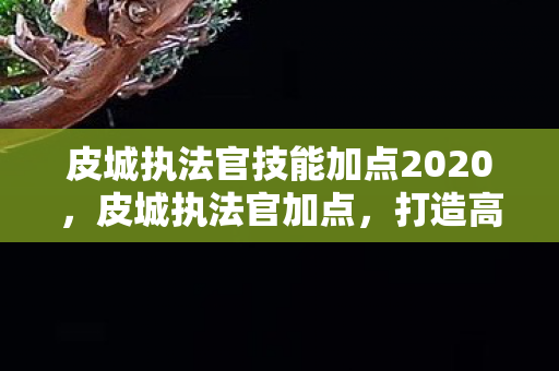 皮城执法官技能加点2020,皮城执法官加点,打造高效战斗力的关键 皮城执法官技能加点2020,皮城执法官加点,打造高效战斗力的关键