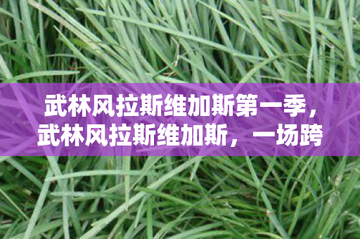 武林风拉斯维加斯第一季,武林风拉斯维加斯,一场跨越国界的搏击盛宴 武林风拉斯维加斯第一季,武林风拉斯维加斯,一场跨越国界的搏击盛宴