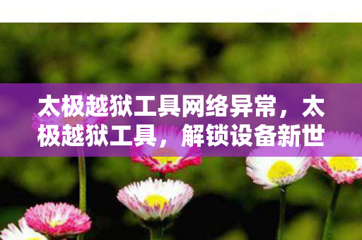 太极越狱工具网络异常，太极越狱工具，解锁设备新世界的钥匙