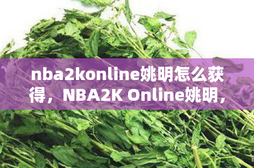 nba2konline姚明怎么获得,NBA2K Online姚明,传奇中锋的虚拟再现 nba2konline姚明怎么获得,NBA2K Online姚明,传奇中锋的虚拟再现
