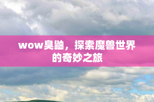 wow臭鼬，探索魔兽世界的奇妙之旅