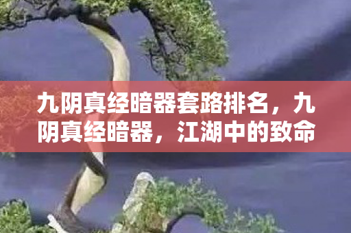 九阴真经暗器套路排名，九阴真经暗器，江湖中的致命利器