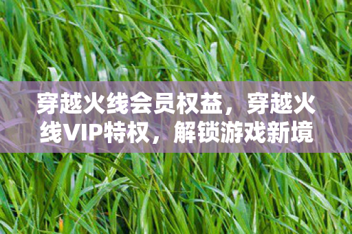 穿越火线会员权益,穿越火线VIP特权,解锁游戏新境界的钥匙 穿越火线会员权益,穿越火线VIP特权,解锁游戏新境界的钥匙
