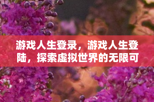 游戏人生登录，游戏人生登陆，探索虚拟世界的无限可能