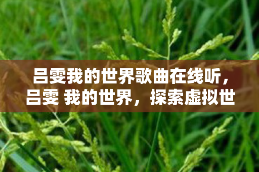 吕雯我的世界歌曲在线听，吕雯 我的世界，探索虚拟世界的无限可能