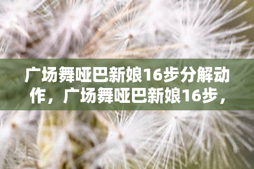 广场舞哑巴新娘16步分解动作,广场舞哑巴新娘16步,舞动生活的旋律 广场舞哑巴新娘16步分解动作,广场舞哑巴新娘16步,舞动生活的旋律