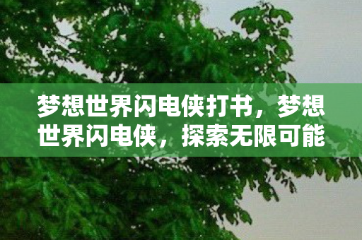 梦想世界闪电侠打书，梦想世界闪电侠，探索无限可能的虚拟冒险