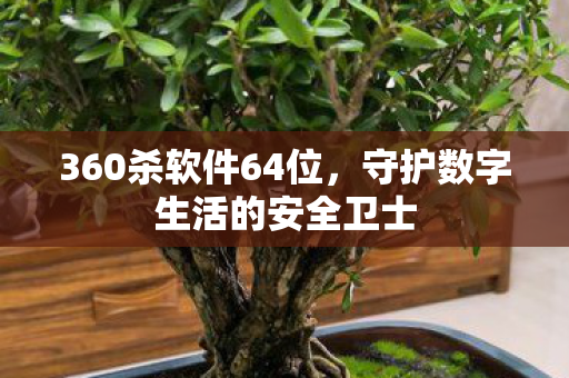 360杀软件64位，守护数字生活的安全卫士