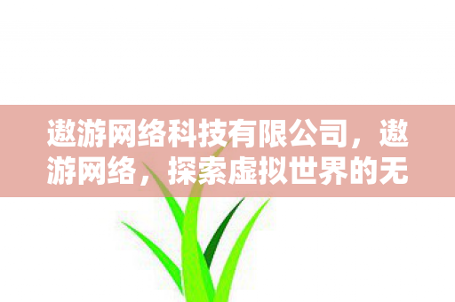 遨游网络科技有限公司,遨游网络,探索虚拟世界的无限可能 遨游网络科技有限公司,遨游网络,探索虚拟世界的无限可能
