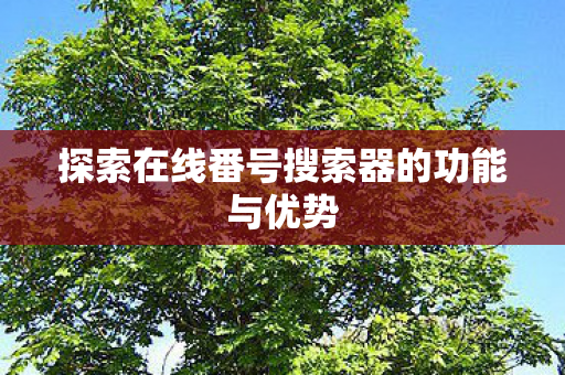 探索在线番号搜索器的功能与优势