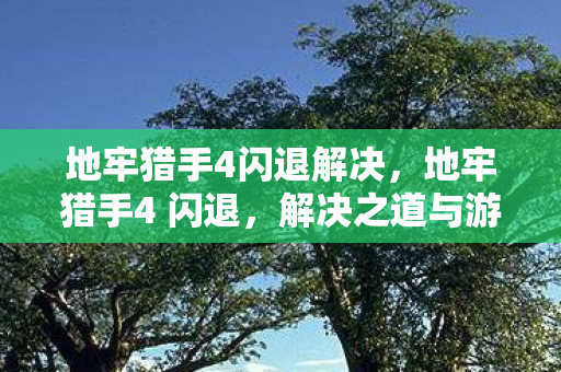 地牢猎手4闪退解决,地牢猎手4 闪退,解决之道与游戏优化探讨 地牢猎手4闪退解决,地牢猎手4 闪退,解决之道与游戏优化探讨