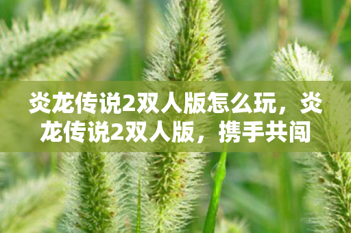 炎龙传说2双人版怎么玩,炎龙传说2双人版,携手共闯奇幻世界 炎龙传说2双人版怎么玩,炎龙传说2双人版,携手共闯奇幻世界