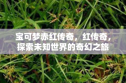 宝可梦赤红传奇,红传奇,探索未知世界的奇幻之旅 宝可梦赤红传奇,红传奇,探索未知世界的奇幻之旅