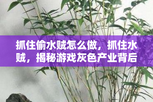 抓住偷水贼怎么做，抓住水贼，揭秘游戏灰色产业背后的秘密