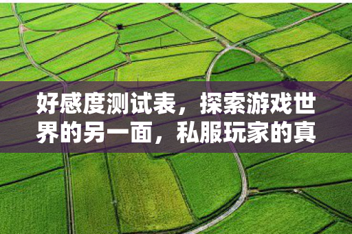 好感度测试表,探索游戏世界的另一面,私服玩家的真实心声 好感度测试表,探索游戏世界的另一面,私服玩家的真实心声