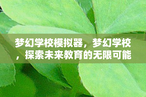 梦幻学校模拟器,梦幻学校,探索未来教育的无限可能 梦幻学校模拟器,梦幻学校,探索未来教育的无限可能