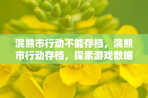 浣熊市行动不能存档，浣熊市行动存档，探索游戏数据的珍贵记忆