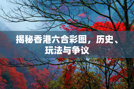 揭秘香港六合彩图，历史、玩法与争议