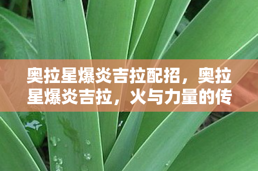 奥拉星爆炎吉拉配招，奥拉星爆炎吉拉，火与力量的传奇