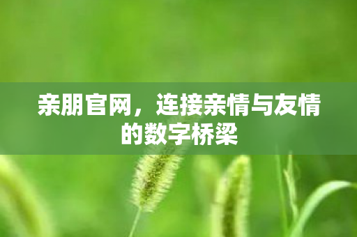 亲朋官网，连接亲情与友情的数字桥梁