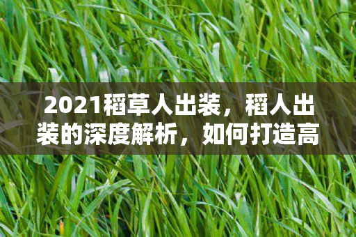2021稻草人出装，稻人出装的深度解析，如何打造高效且实用的装备组合