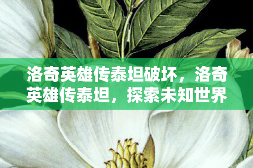 洛奇英雄传泰坦破坏，洛奇英雄传泰坦，探索未知世界的奇幻之旅