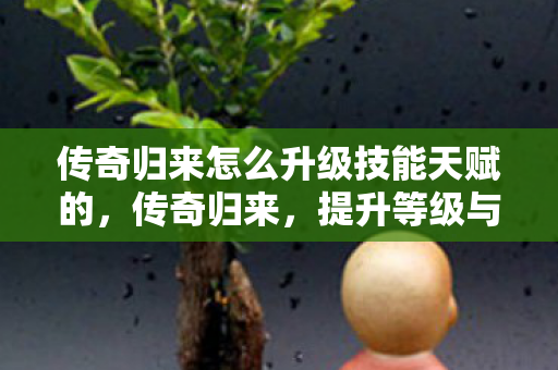 传奇归来怎么升级技能天赋的,传奇归来,提升等级与游戏策略的全面指南 传奇归来怎么升级技能天赋的,传奇归来,提升等级与游戏策略的全面指南