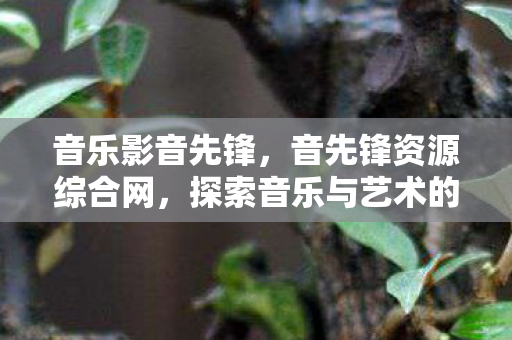 音乐影音先锋,音先锋资源综合网,探索音乐与艺术的无限可能 音乐影音先锋,音先锋资源综合网,探索音乐与艺术的无限可能