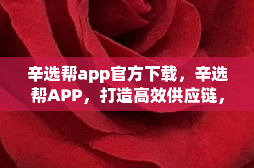 辛选帮app官方下载，辛选帮APP，打造高效供应链，赋能中小企业数字化转型