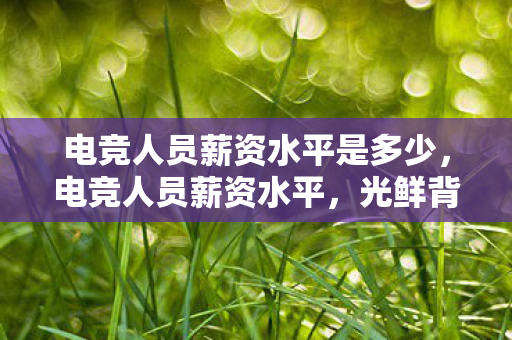 电竞人员薪资水平是多少,电竞人员薪资水平,光鲜背后的真实收入 电竞人员薪资水平是多少,电竞人员薪资水平,光鲜背后的真实收入