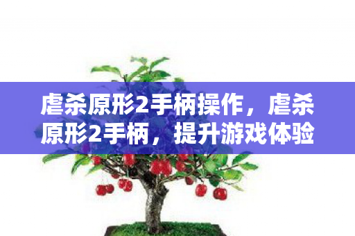 虐杀原形2手柄操作,虐杀原形2手柄,提升游戏体验的必备神器 虐杀原形2手柄操作,虐杀原形2手柄,提升游戏体验的必备神器