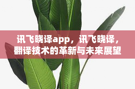 讯飞晓译app，讯飞晓译，翻译技术的革新与未来展望