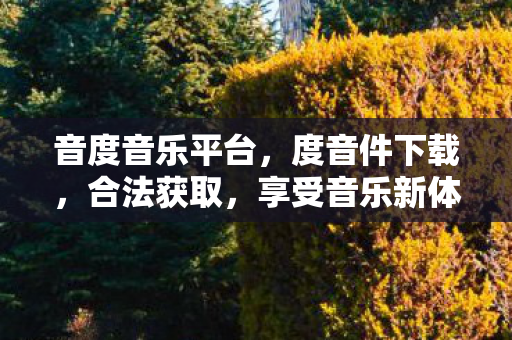 音度音乐平台，度音件下载，合法获取，享受音乐新体验