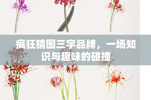 疯狂猜图三字品牌，一场知识与趣味的碰撞