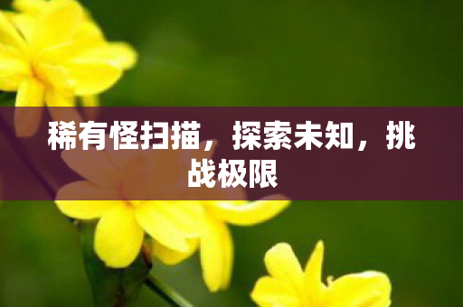 稀有怪扫描，探索未知，挑战极限