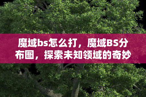 魔域bs怎么打，魔域BS分布图，探索未知领域的奇妙之旅