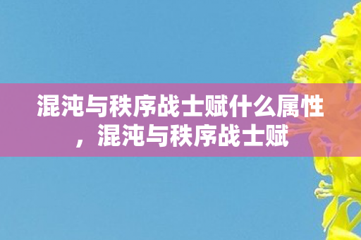 混沌与秩序战士赋什么属性，混沌与秩序战士赋