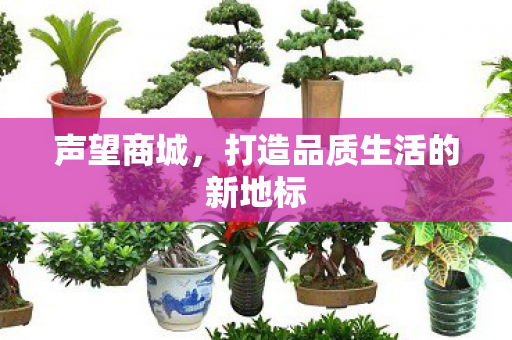 声望商城，打造品质生活的新地标