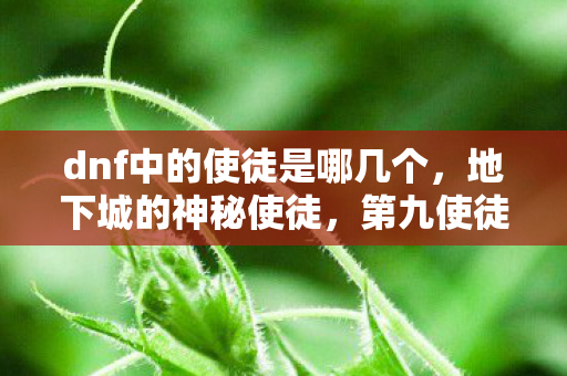 dnf中的使徒是哪几个，地下城的神秘使徒，第九使徒—拉赫