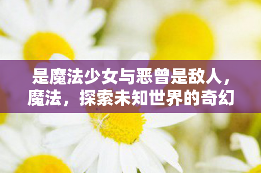 是魔法少女与恶曾是敌人,魔法,探索未知世界的奇幻之旅 是魔法少女与恶曾是敌人,魔法,探索未知世界的奇幻之旅