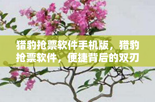 猎豹抢票软件手机版，猎豹抢票软件，便捷背后的双刃剑