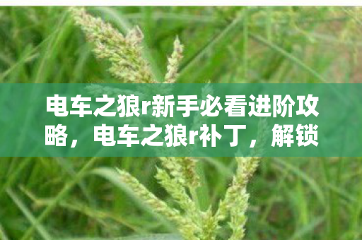 电车之狼r新手必看进阶攻略，电车之狼r补丁，解锁游戏新体验，安全使用是关键