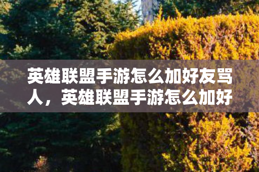 英雄联盟手游怎么加好友骂人,英雄联盟手游怎么加好友 英雄联盟手游怎么加好友骂人,英雄联盟手游怎么加好友