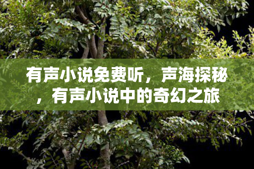 有声小说免费听,声海探秘,有声小说中的奇幻之旅 有声小说免费听,声海探秘,有声小说中的奇幻之旅