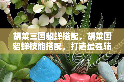 胡莱三国貂蝉搭配，胡莱国貂蝉技能搭配，打造最强辅助的秘籍