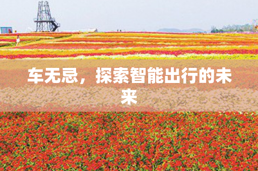 车无忌，探索智能出行的未来
