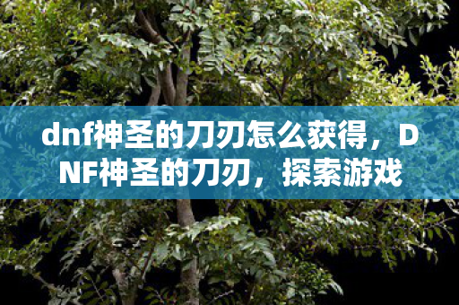 dnf神圣的刀刃怎么获得，DNF神圣的刀刃，探索游戏中的传奇武器