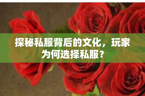 探秘私服背后的文化,玩家为何选择私服? 探秘私服背后的文化,玩家为何选择私服?