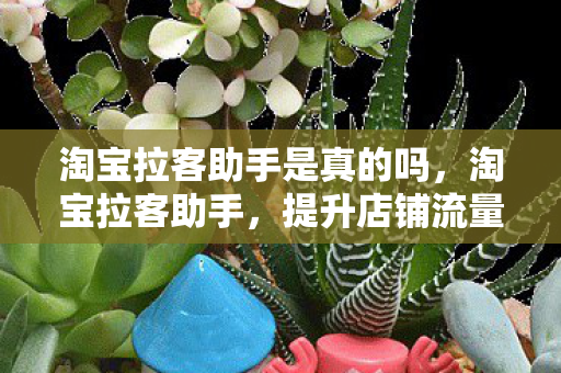 淘宝拉客助手是真的吗，淘宝拉客助手，提升店铺流量的秘密武器