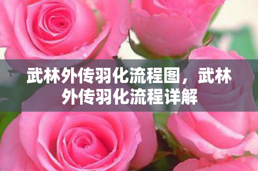 武林外传羽化流程图，武林外传羽化流程详解